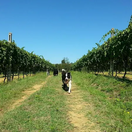 Agriturismo Gravanella Appartamento